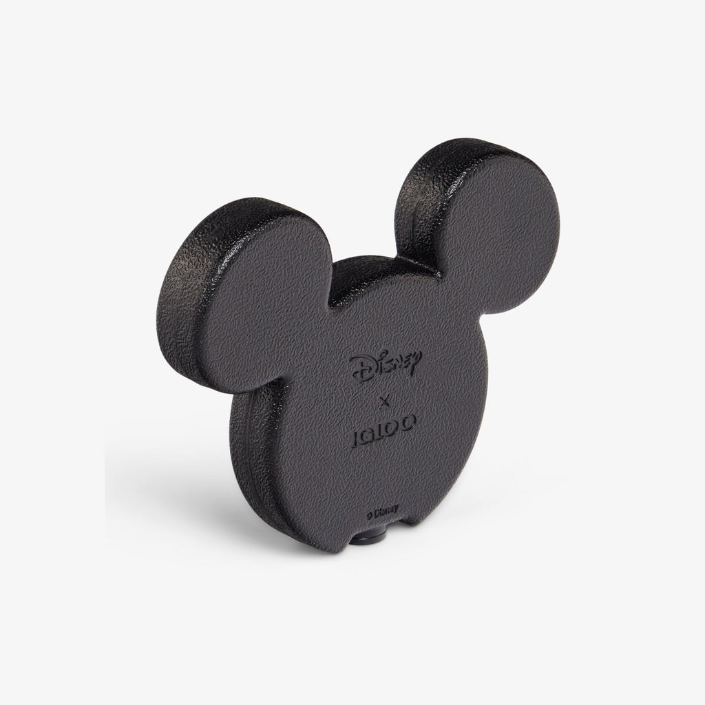 Disney Mickey Mouse Ice Block 2-Pack L3 - Black - Product View