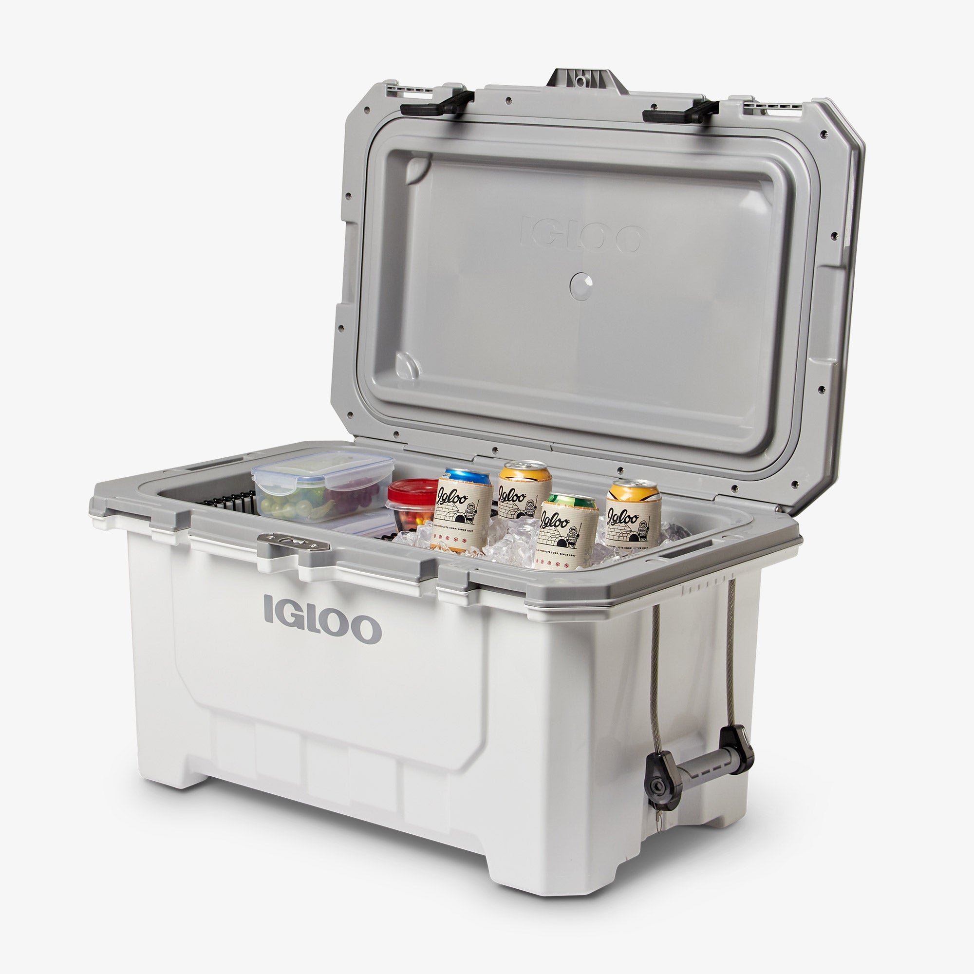 IMX 70 Qt Cooler L5 - White - Product View